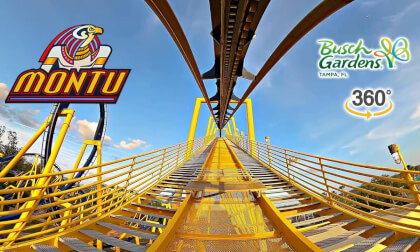 VR 360 Montu Roller Coaster Front Row On Ride POV Busch Gardens Tampa 2025 03 04 VR 360 Montu Roller Coaster Front Row On Ride POV Busch Gardens Tampa 2025 03 04