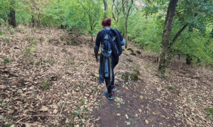 In the Forest