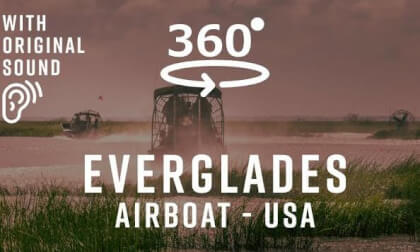 Everglades Airboat Tour | 360° Adventure in Florida's Wild Side