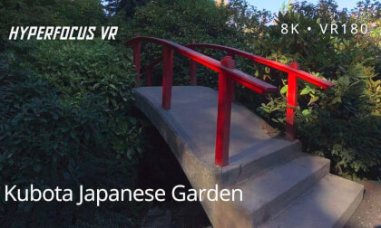 Seattle's Hidden Zen: A Calming Journey Through Kubota Garden 8K VR180