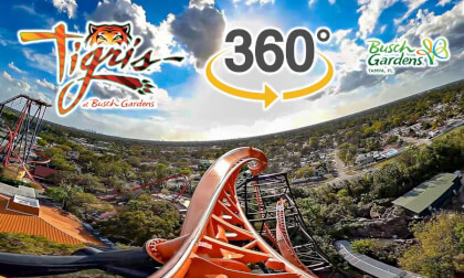 VR 360 Tigris Roller Coaster Front Seat On Ride POV Busch Gardens Tampa 2025 03 04