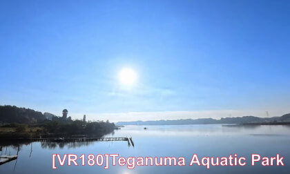 [VR180 3D]Teganuma Aquatic Park 手賀沼親水広場