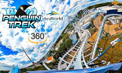 VR360 Penguin Trek Roller Coaster On Ride Front Seat POV SeaWorld Orlando 2024 07 05