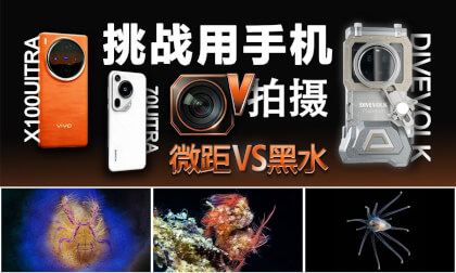 挑戰手機水攝,anilao微距和黑水Challenge mobile phone underwater photography