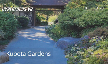 Seattle's Kubota Garden: A Peaceful 8K 360 Journey