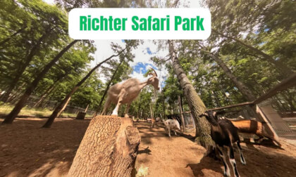 Richter Safari Park