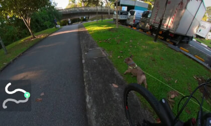 Singapore Park Morning Run