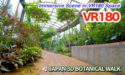 [VR180 3D] Peaceful Walk in Mito Botanical Garden – Relaxing Forest Path in Ibaraki / 3D video in VR 180 format