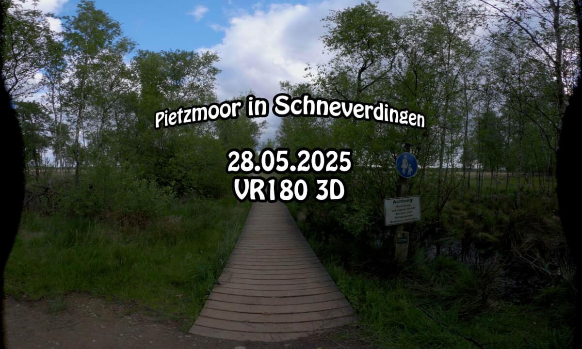 Pietzmoor in der Lüneburger Heide (Rundgang) - VR180 3D 8K