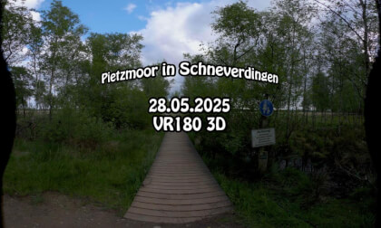 Pietzmoor in der Lüneburger Heide (Rundgang) - VR180 3D 8K