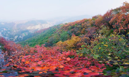 Colorful Autumn