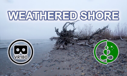 Weathered Shore | VR 180 Nature Experience | Relaxing Rain & Snow Ambience