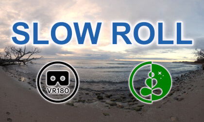 Slow Roll | Gentle Shoreline Waves in the Morning | VR180 Nature Experience