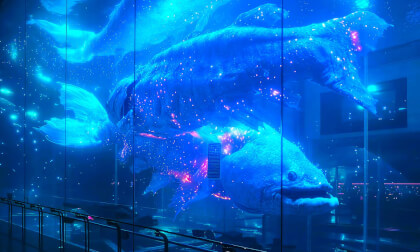 Unknown Deep Aquarium