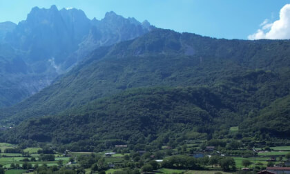 Concarena