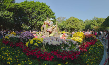 The 2025 Fuzhou West Lake Chrysanthemum Exhibition 支持苹果VP 12k 福州西湖菊花展