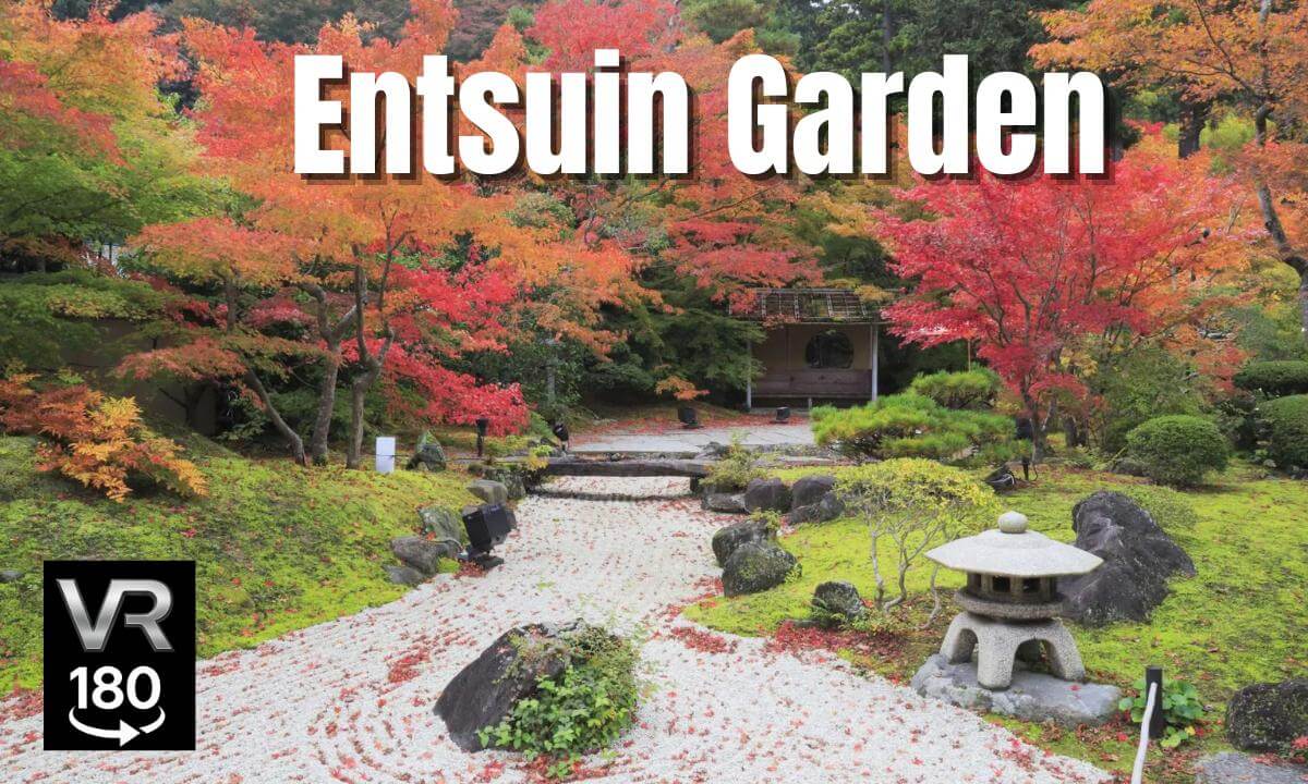 Entsūin Temple Autumn Leaves |  Peaceful Japanese Garden in Fall  [VR180 JAPAN]