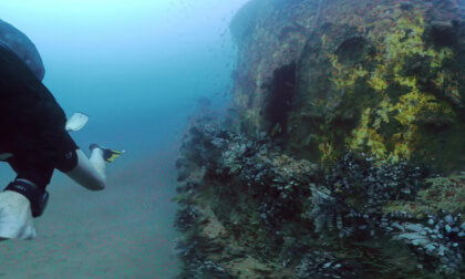 1st Dive at Angel Wreck 24 October 2025
