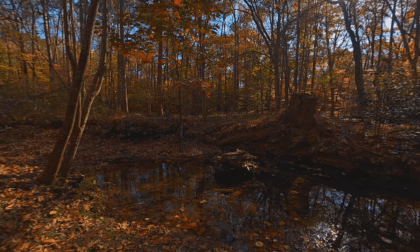 SLAM XCAM: John Ripley Forbes Big Trees Forest Preserve