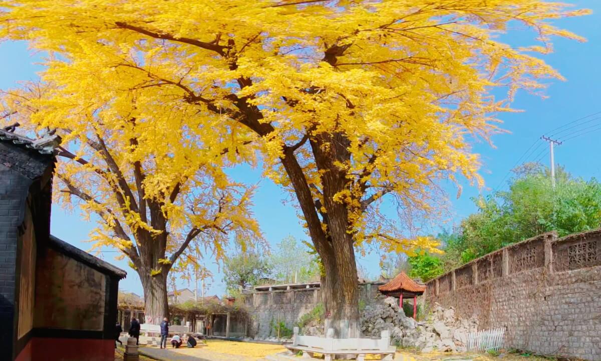 Beautiful ancient temples and scenic spots from the East