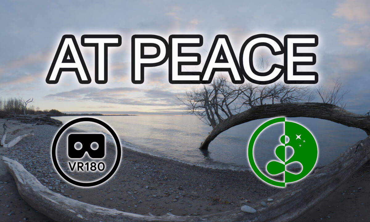 AT PEACE | VR180 | Nature Experience | Relaxing | Calming