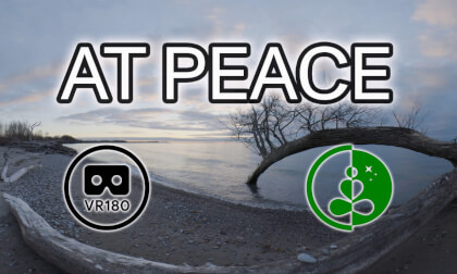 AT PEACE | VR180 | Nature Experience | Relaxing | Calming