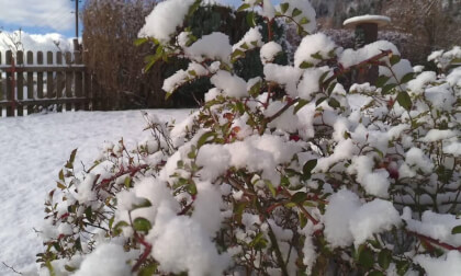 Der erste Schnee in Spital am Semmering .Austria