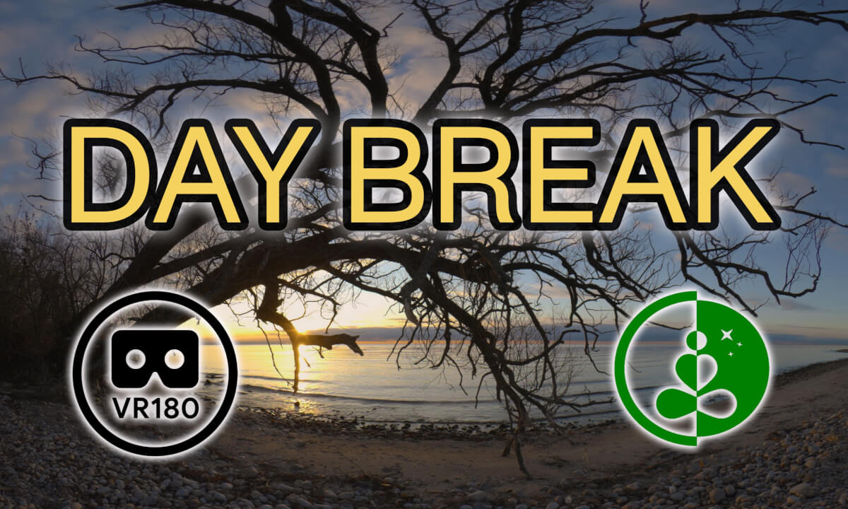 DAY BREAK | VR180 Nature Relaxation at Sunrise