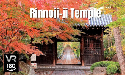 Rinnoji Temple Autumn Walk | Niōmon Gate & Japanese Garden