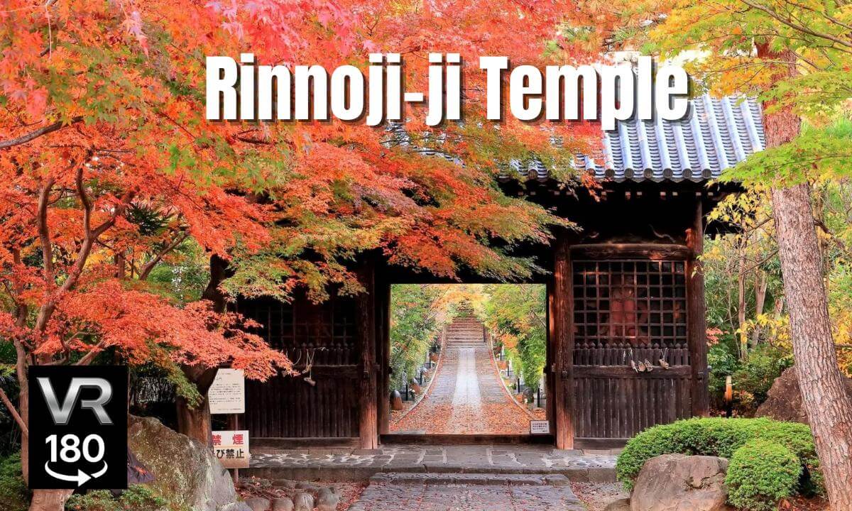 Rinnoji Temple Autumn Walk | Niōmon Gate & Japanese Garden
