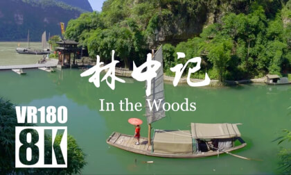 林中记 | In the Woods