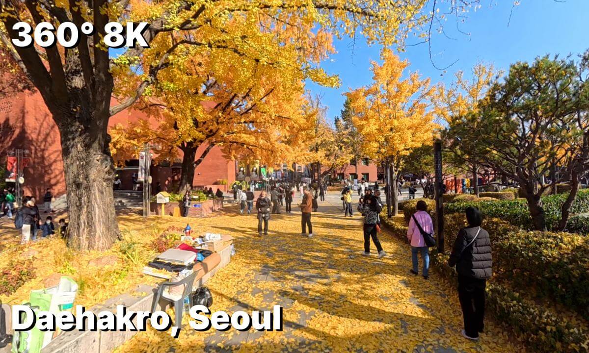 Seoul Daehakro 360° VR Full Walk (8K ASMR No Talk) - Korea Travel 🇰🇷