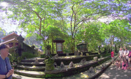 8K VR 180 Indonesia Bali Sacred Monkey forest