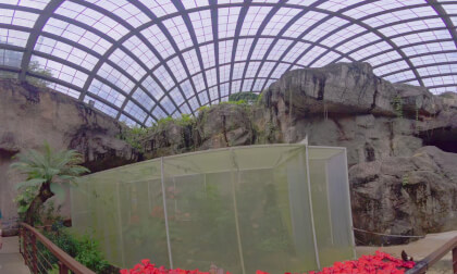 8K VR 180 Penang Butterfly park