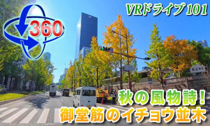 [Insta360 X5] VR Drive 101 [Osaka Edition] A Fall Scenic View! Ginkgo Trees on Midosuji Street (November 20, 2025)