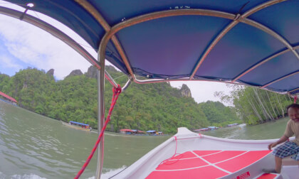 8K VR 180 Malaysia Langkawi Mangrove forrest