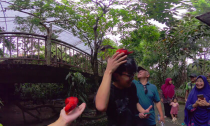 8K VR 180 Yogyakarta Zoo