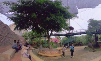 8K VR 180 Jakarta Bird Land