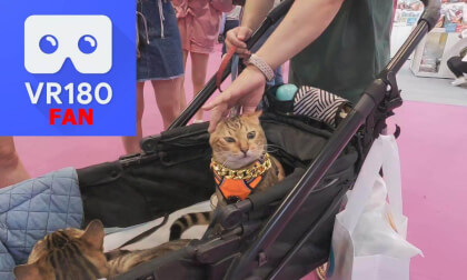 Pet Show, Part1@Taiwai, 2025,09