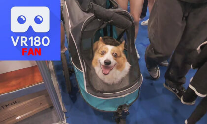 Pet Show, Part2@Taiwai, 2025,09