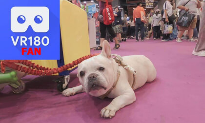 Pet Show, Part3@Taiwai, 2025,09
