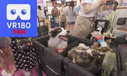 Pet Show, Part4@Taiwai, 2025,09