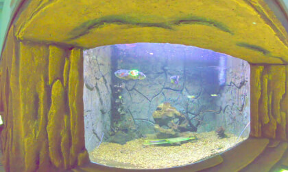 8K VR 180 Indonesia Surabaya zoo
