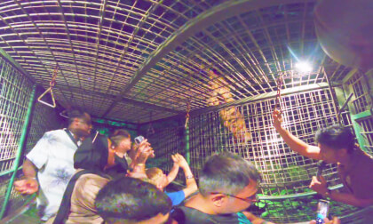 8K VR 180 Indonesia Bali night safari