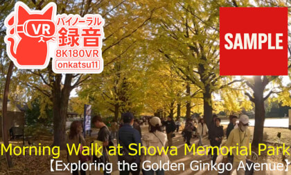 【SAMPLE】🍁 [Morning Walk at Showa Memorial Park — Exploring the Golden Ginkgo Avenue (8K VR180)]