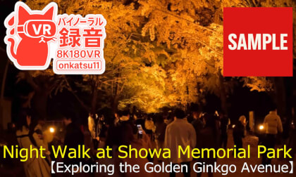 【SAMPLE】🌙 [Night Walk at Showa Memorial Park — The Illuminated Ginkgo Avenue (8K VR180)]
