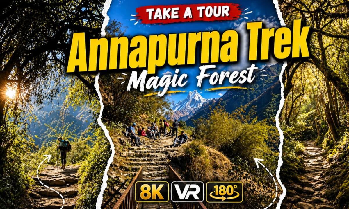 Inside The Fairy Tail Forest | ABC Trek in VR180 8K | Day 5 – Part 2