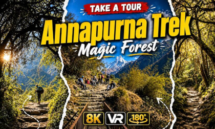 Inside The Fairy Tail Forest | ABC Trek in VR180 8K | Day 5 – Part 2
