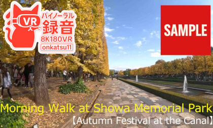 【SAMPLE】🍁 [Morning Walk at Showa Memorial Park — Autumn Festival at the Canal (8K VR180)]