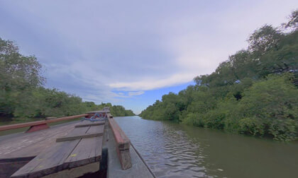 8K VR 180 Indonesia Surabaya Mangrove Forest